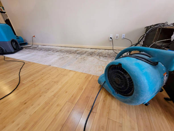 Professional Structural Drying technician working in Bluffton, IN